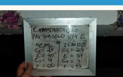 A carbonatação das estruturas de concreto armado